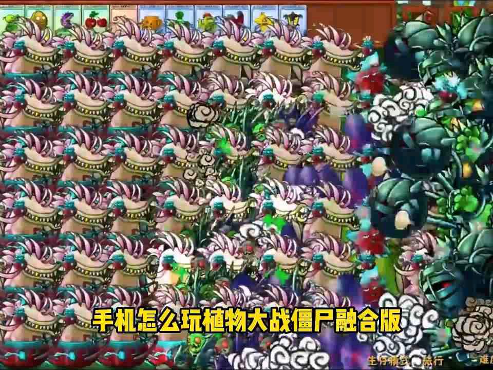 植物大战僵尸融合版